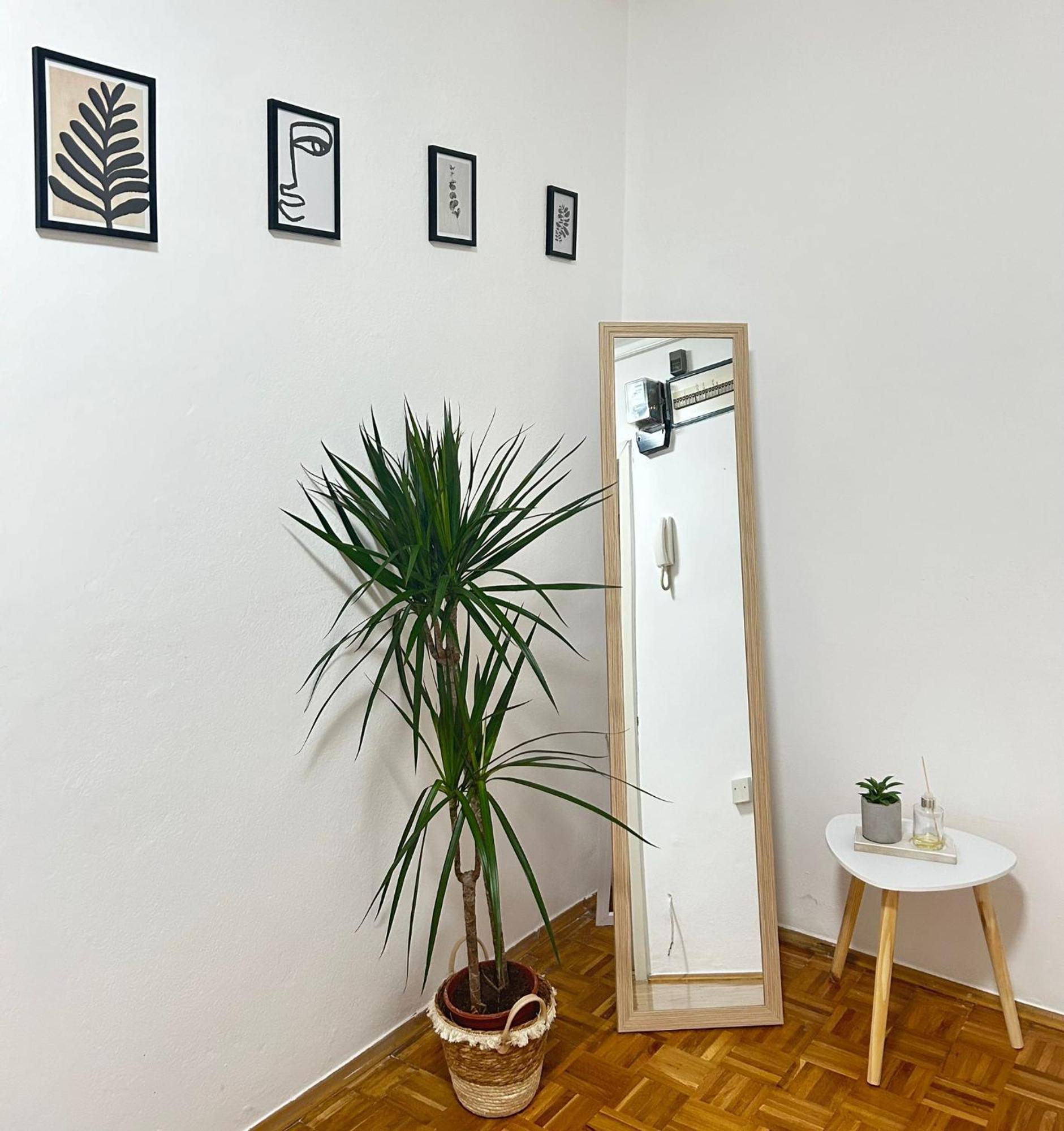 Appartement Avlija Garden Gem à SJJ Extérieur photo